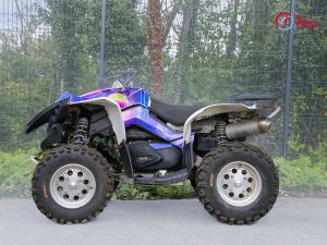 CAN-AM 500 Renegade